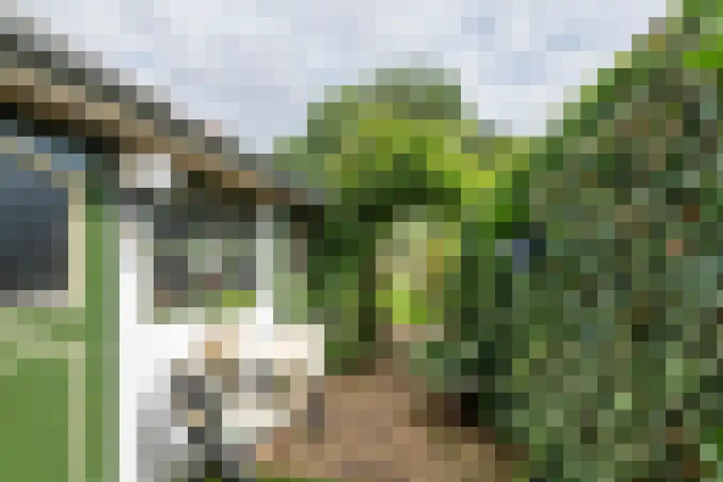 Westersingel 62 Culemborg thumbnail 47