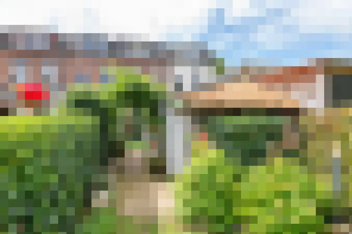 Westersingel 62 Culemborg thumbnail 49