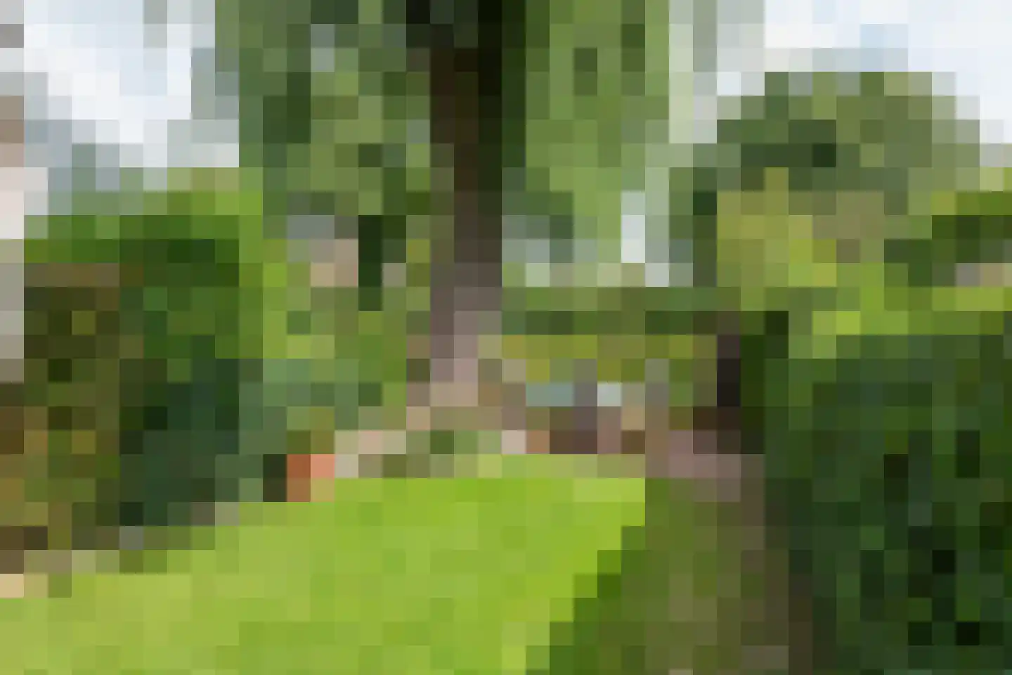 Westersingel 62 Culemborg thumbnail 51