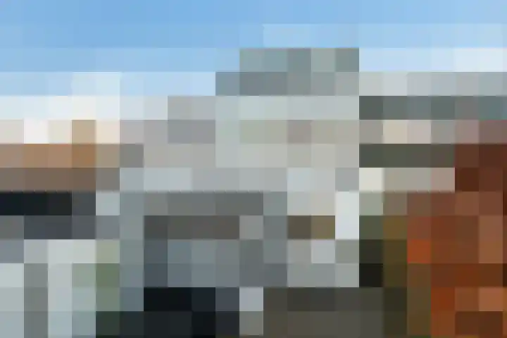Westersingel 65 Berkel en Rodenrijs thumbnail 4