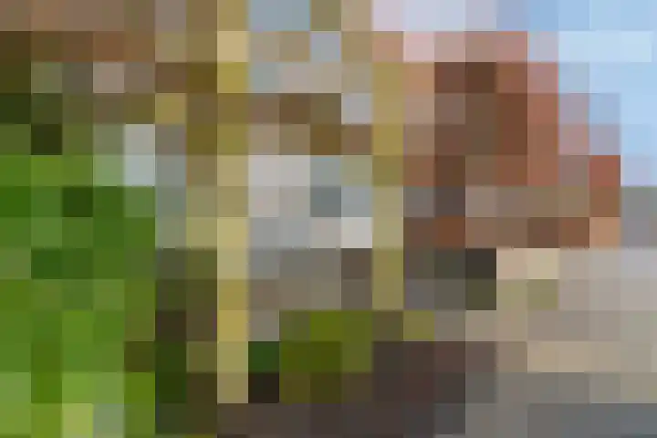 Westersingel 65 Berkel en Rodenrijs thumbnail 6