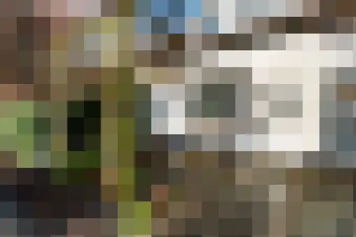 Westersingel 65 Berkel en Rodenrijs thumbnail 7