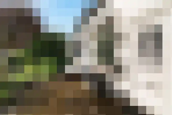 Westersingel 65 Berkel en Rodenrijs thumbnail 9
