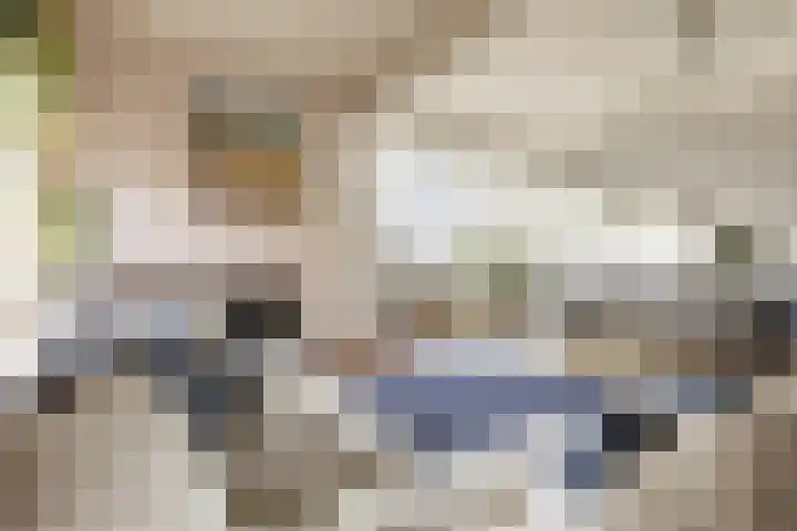 Westersingel 79 Groningen