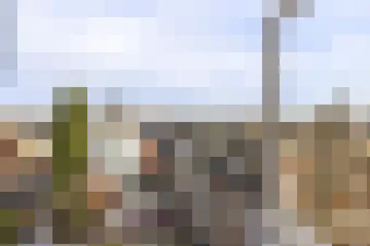 Westersingel 79 Groningen thumbnail 21