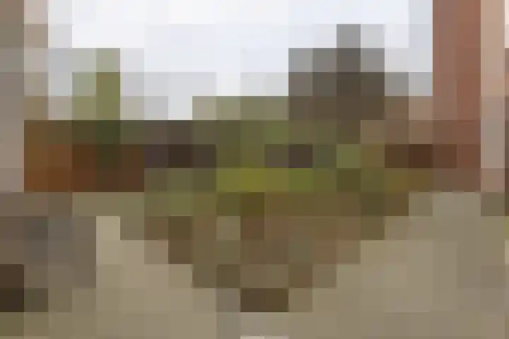Westersingel 79 Groningen thumbnail 38