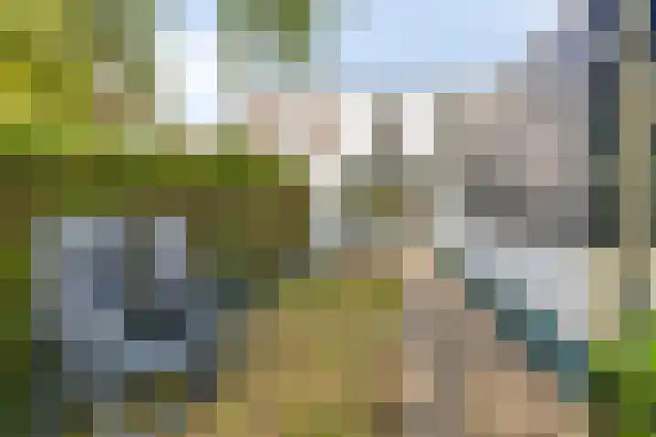 Westersingel 84 Culemborg thumbnail 36