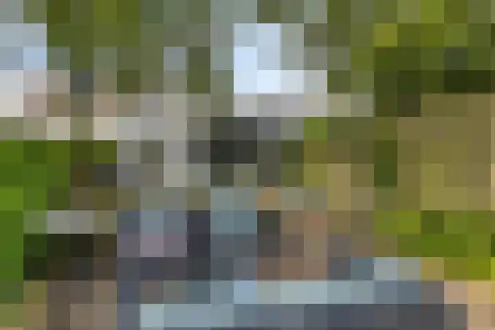 Westersingel 84 Culemborg thumbnail 38
