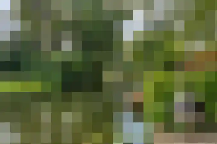 Westersingel 84 Culemborg thumbnail 39