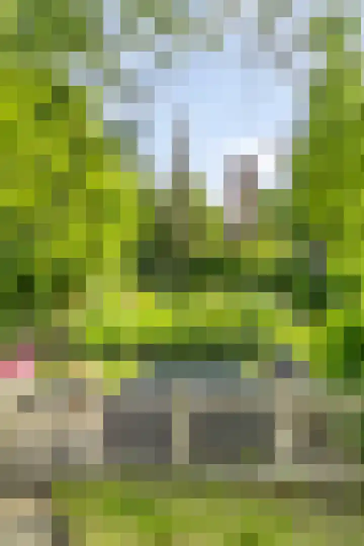 Westersingel 84 Culemborg thumbnail 40