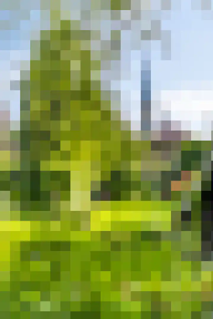 Westersingel 84 Culemborg thumbnail 41