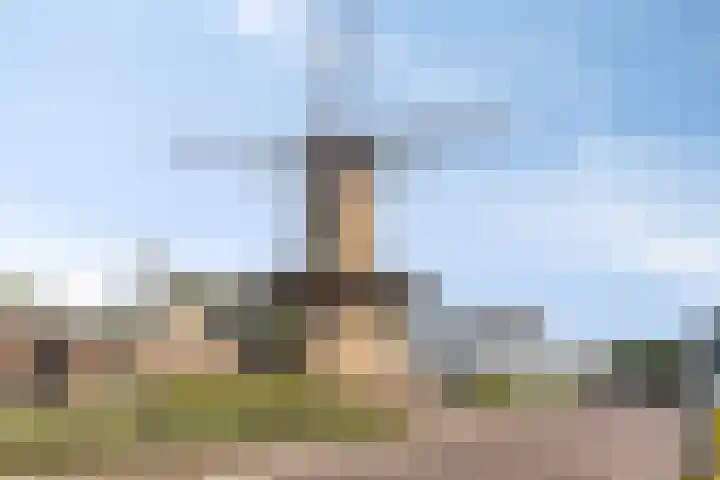 Westersingel 84 Culemborg thumbnail 42