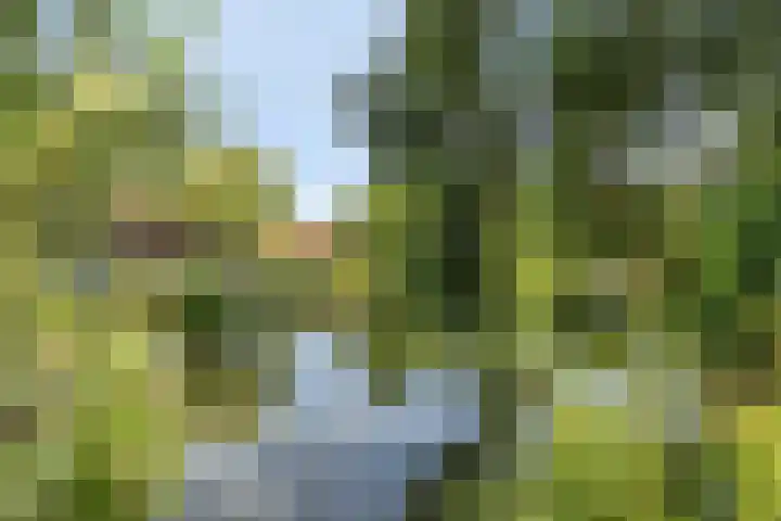 Westersingel 84 Culemborg thumbnail 43