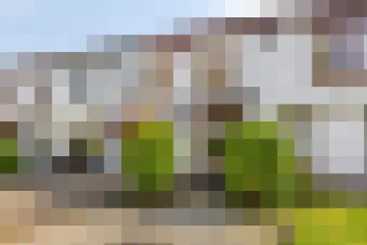 Westersingel 84 Culemborg thumbnail 8