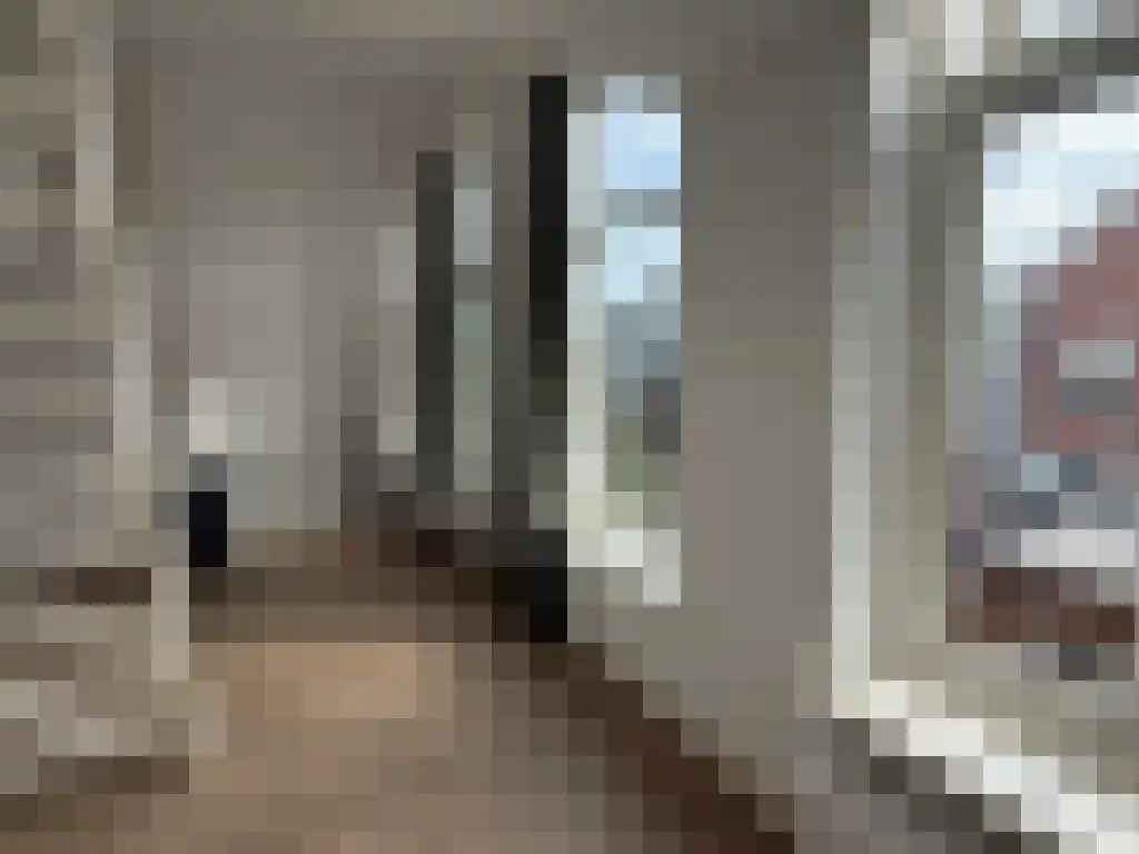 Westersingel Groningen thumbnail 4