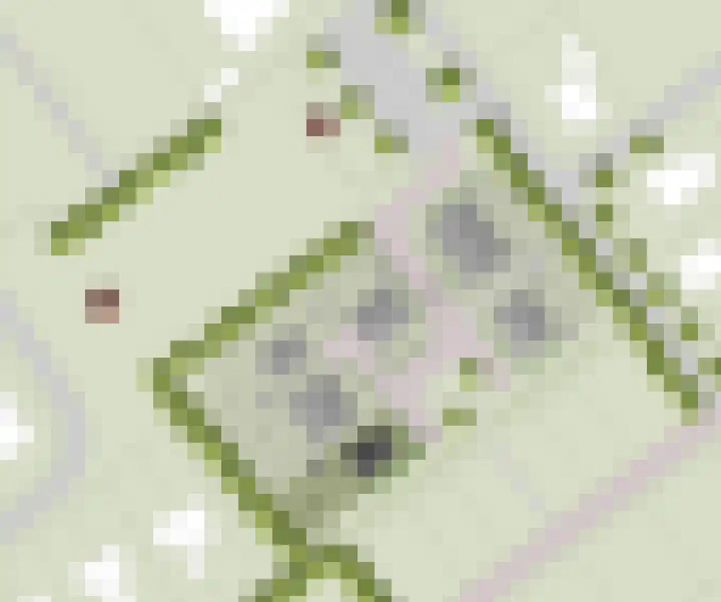 Westerslag 24 Vledderveen thumbnail 7