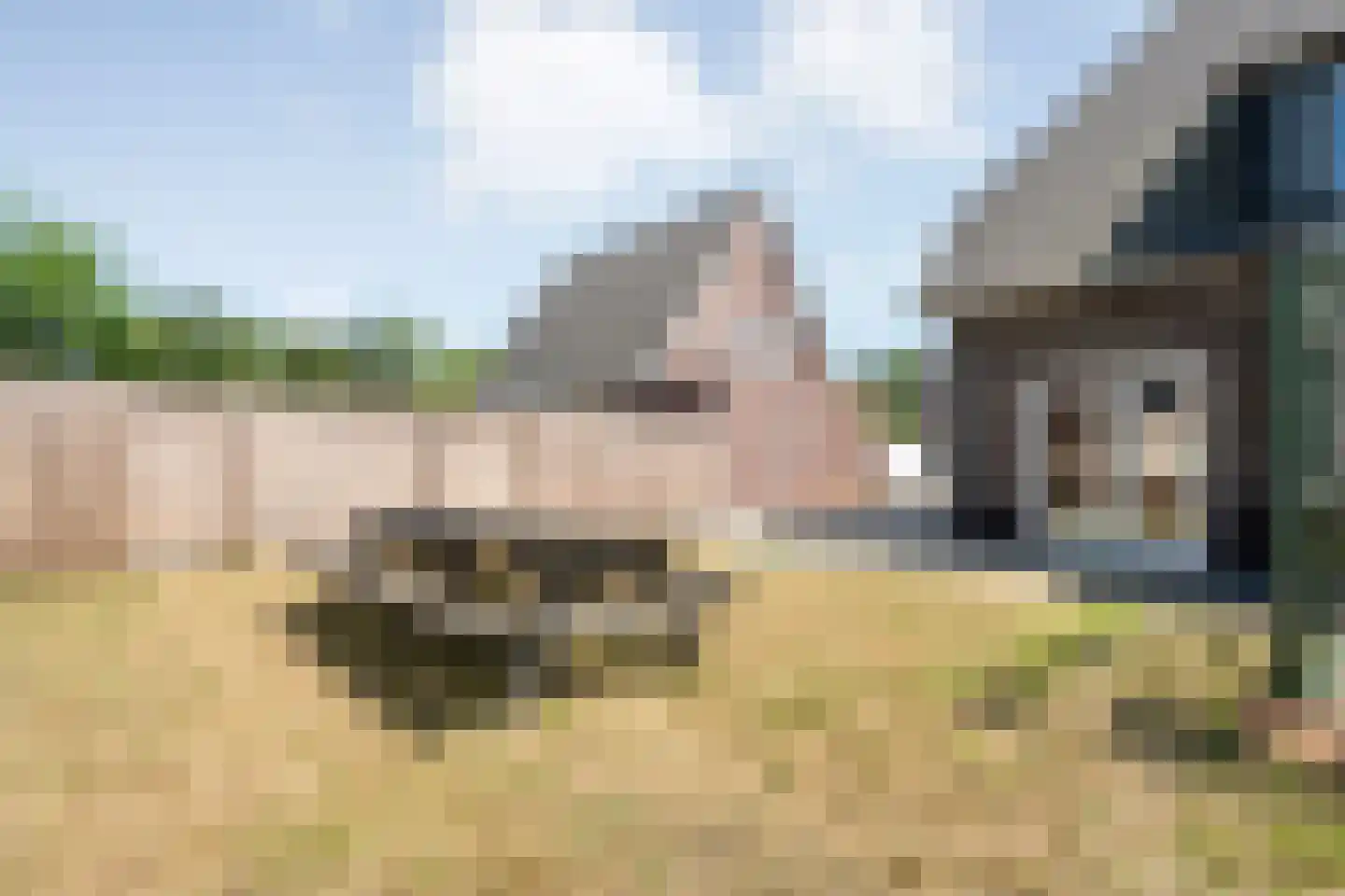 Westerslag 4 Vledderveen thumbnail 37