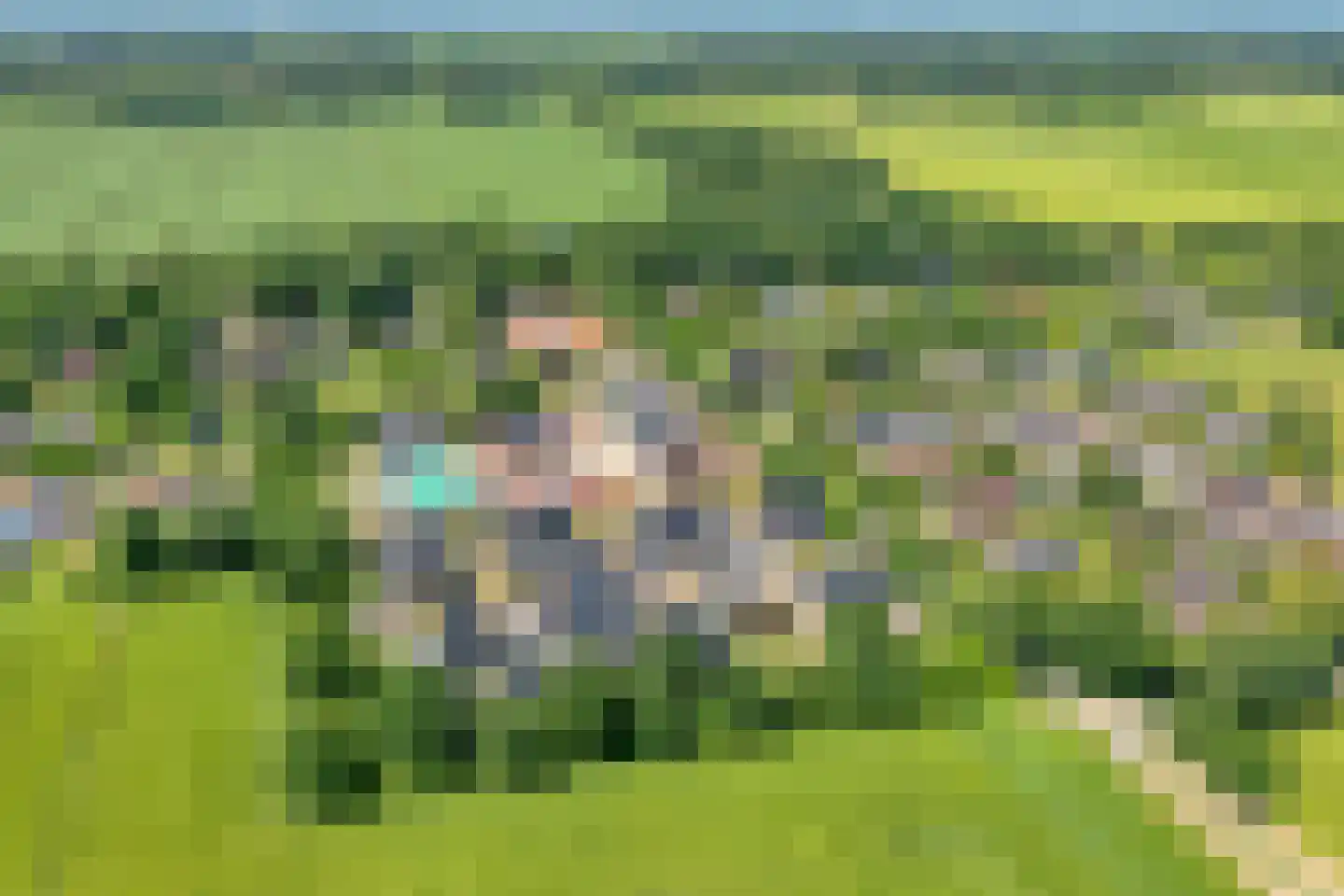 Westerslag 4 Vledderveen thumbnail 6
