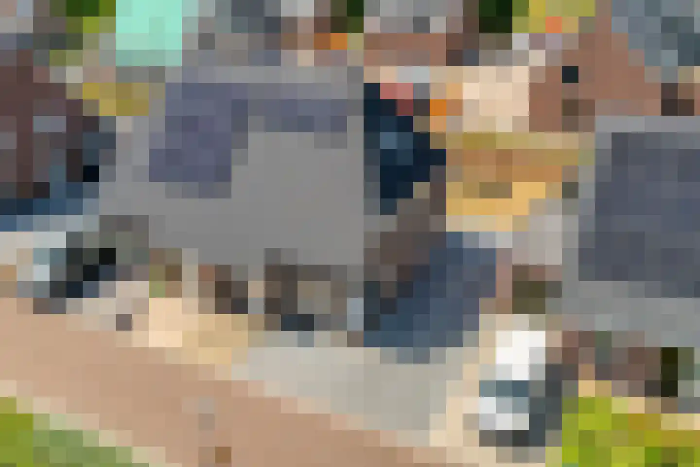 Westerslag 4 Vledderveen thumbnail 7