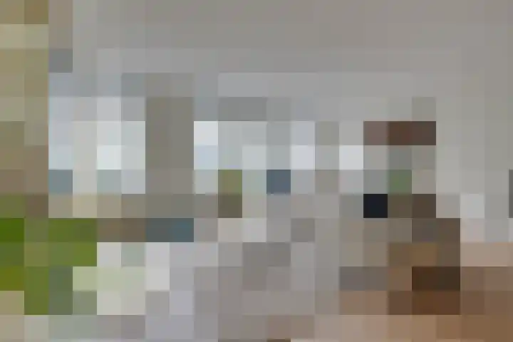 Westersteeg 1 F Purmerend thumbnail 12
