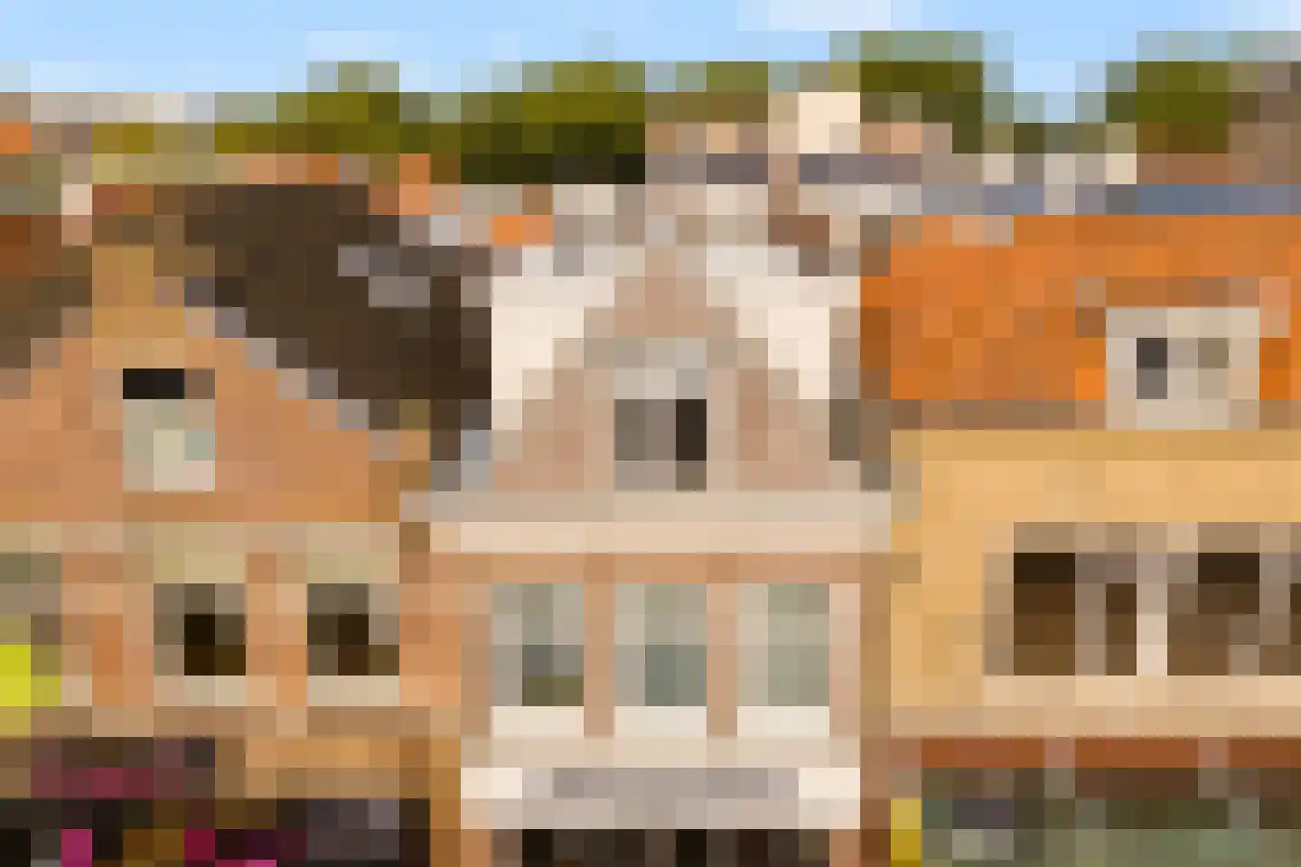 Westersteeg 5 E Purmerend thumbnail 17
