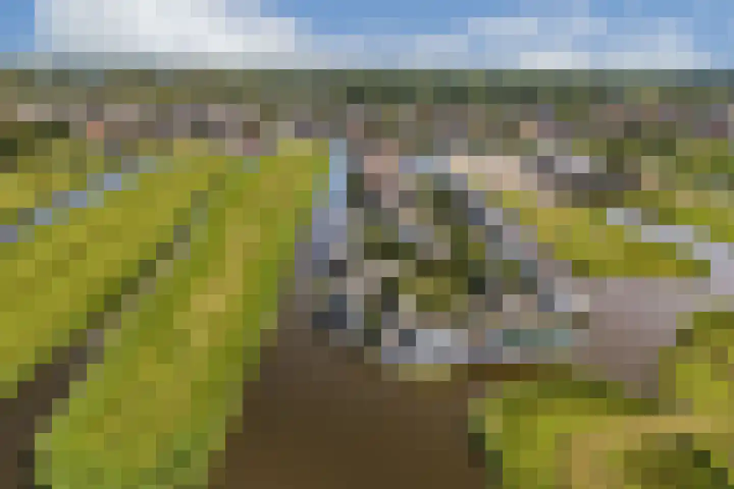 Westerstijfselmakerspad 17 b Oostzaan thumbnail 22