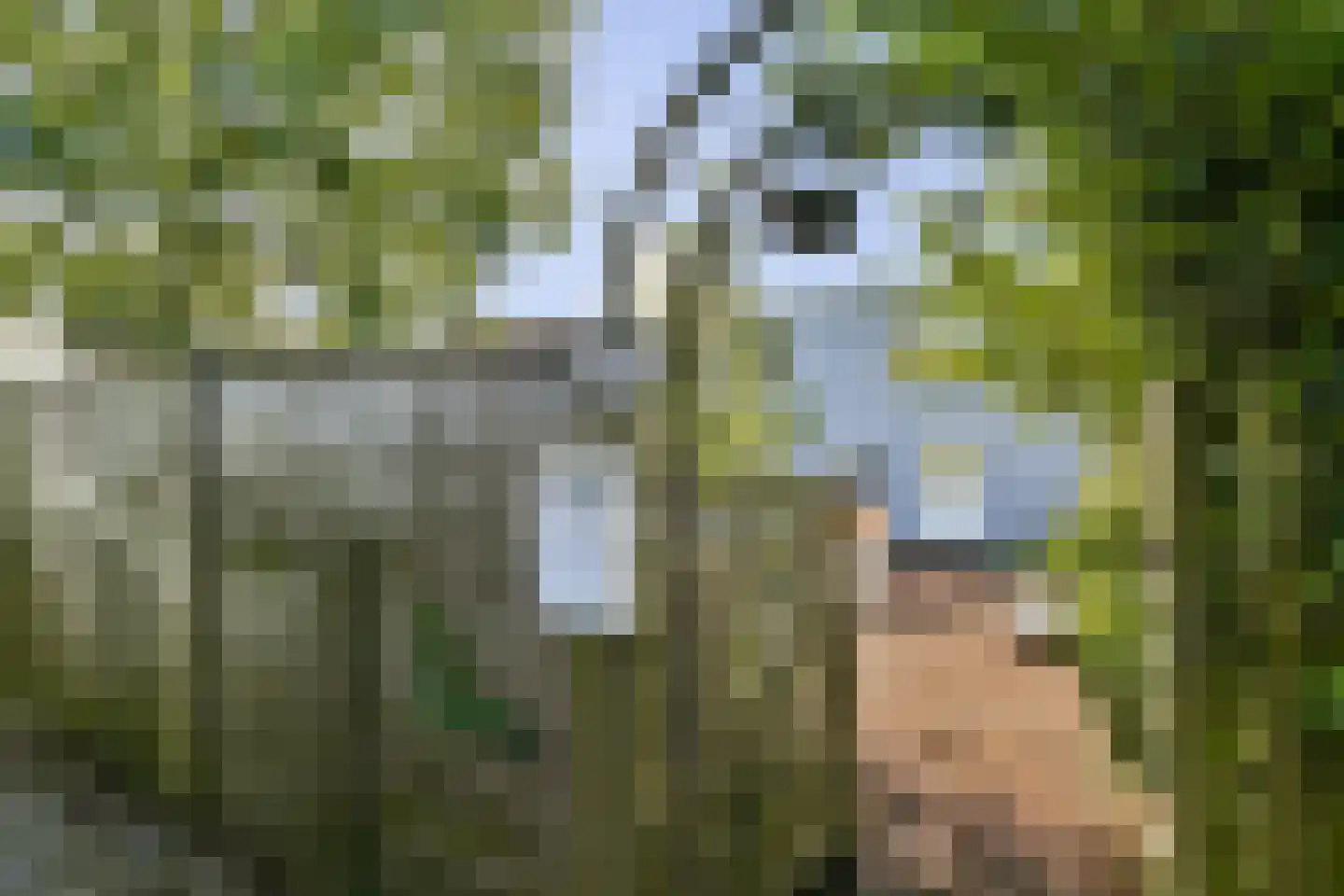 Westerstijfselmakerspad 17 b Oostzaan thumbnail 6