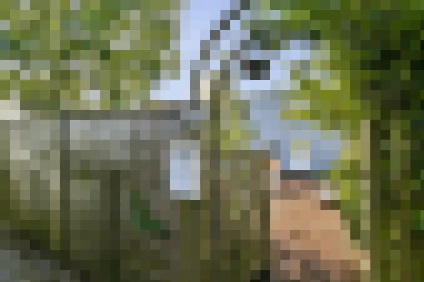 Westerstijfselmakerspad 17 b Oostzaan thumbnail 7