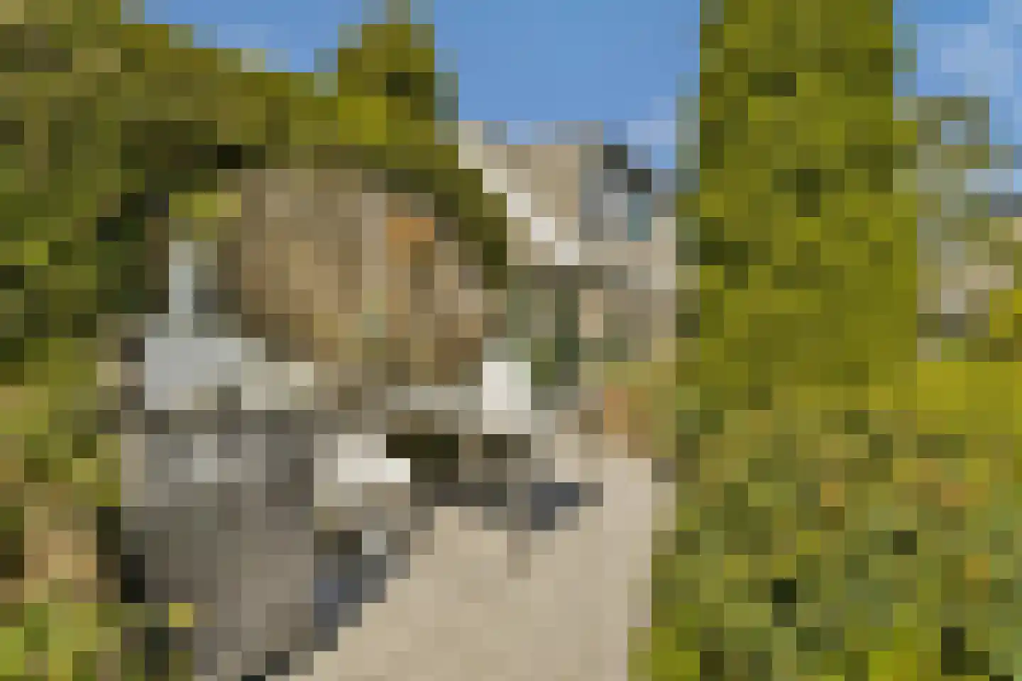 Westerstijfselmakerspad 20 b Oostzaan thumbnail 15