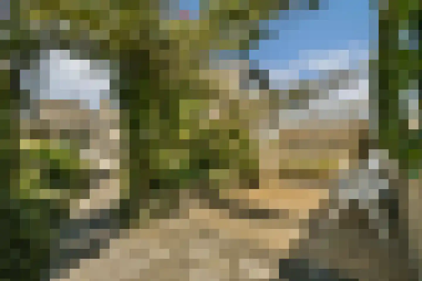 Westerstijfselmakerspad 20 b Oostzaan thumbnail 16