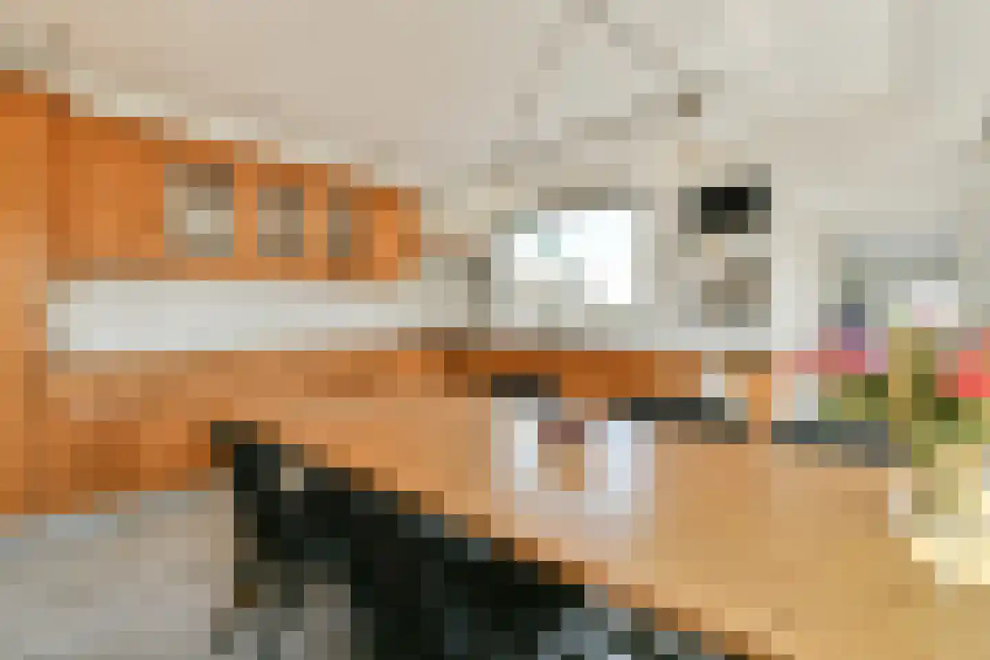 Westerstijfselmakerspad 20 b Oostzaan thumbnail 24