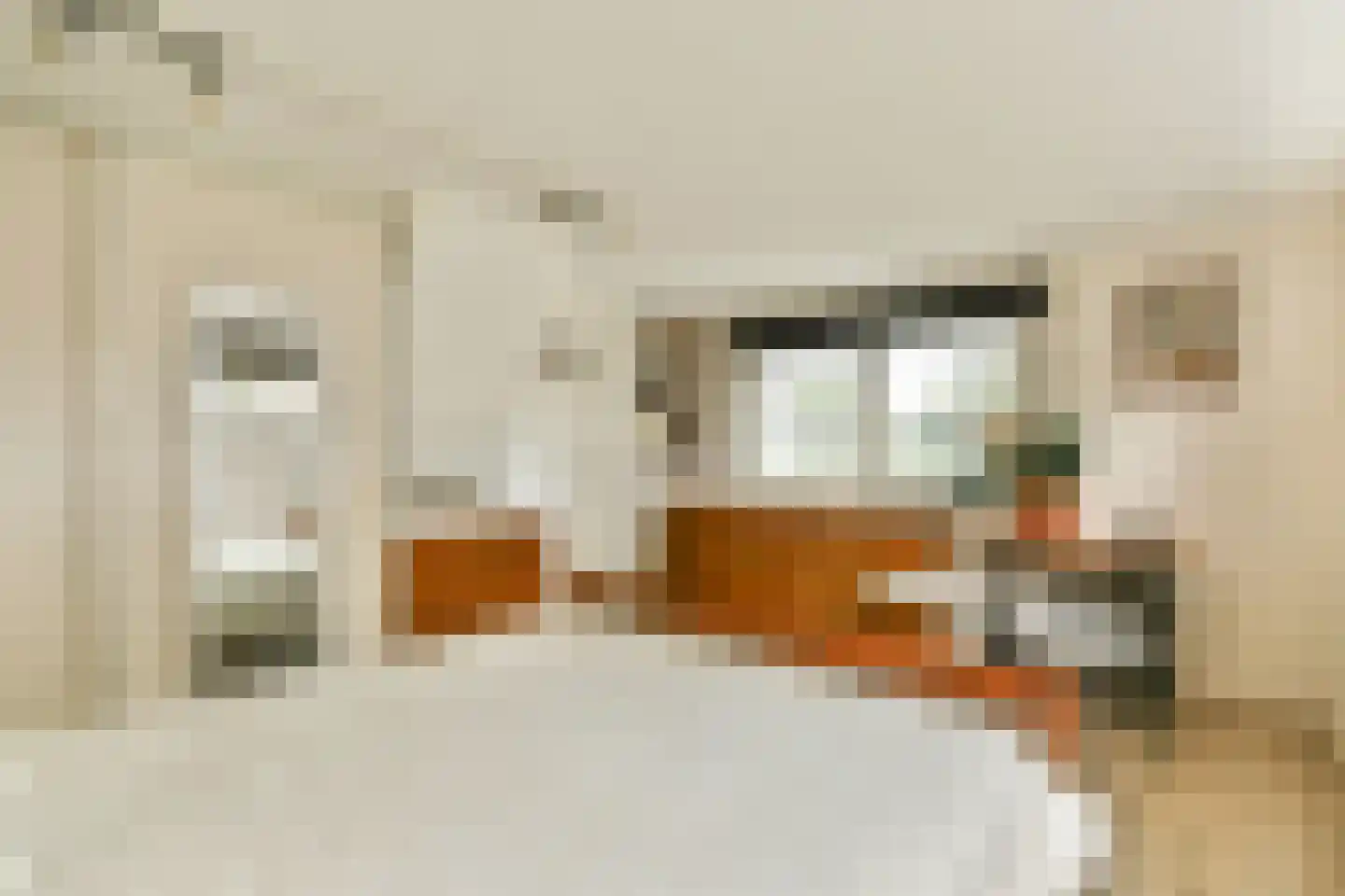 Westerstijfselmakerspad 20 b Oostzaan thumbnail 28