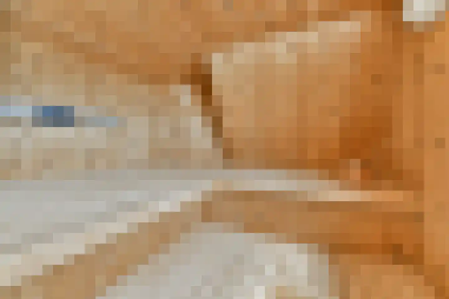 Westerstijfselmakerspad 20 b Oostzaan thumbnail 36
