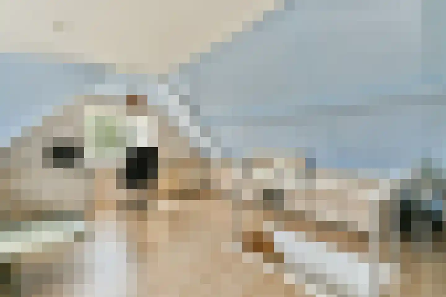 Westerstijfselmakerspad 20 b Oostzaan thumbnail 38