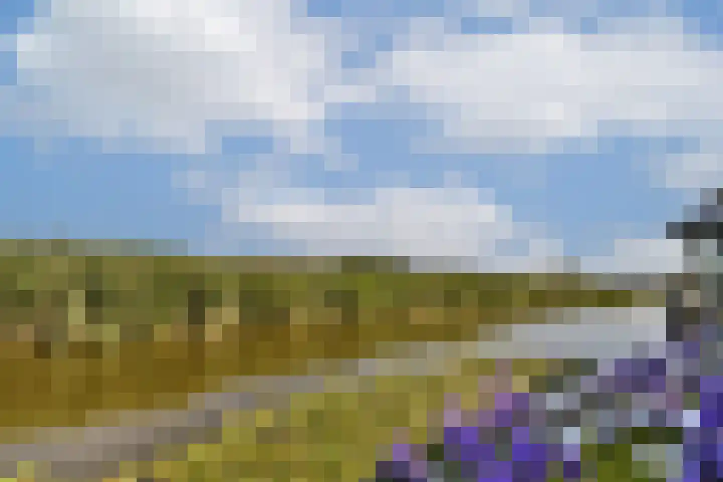 Westerstijfselmakerspad 20 b Oostzaan thumbnail 41