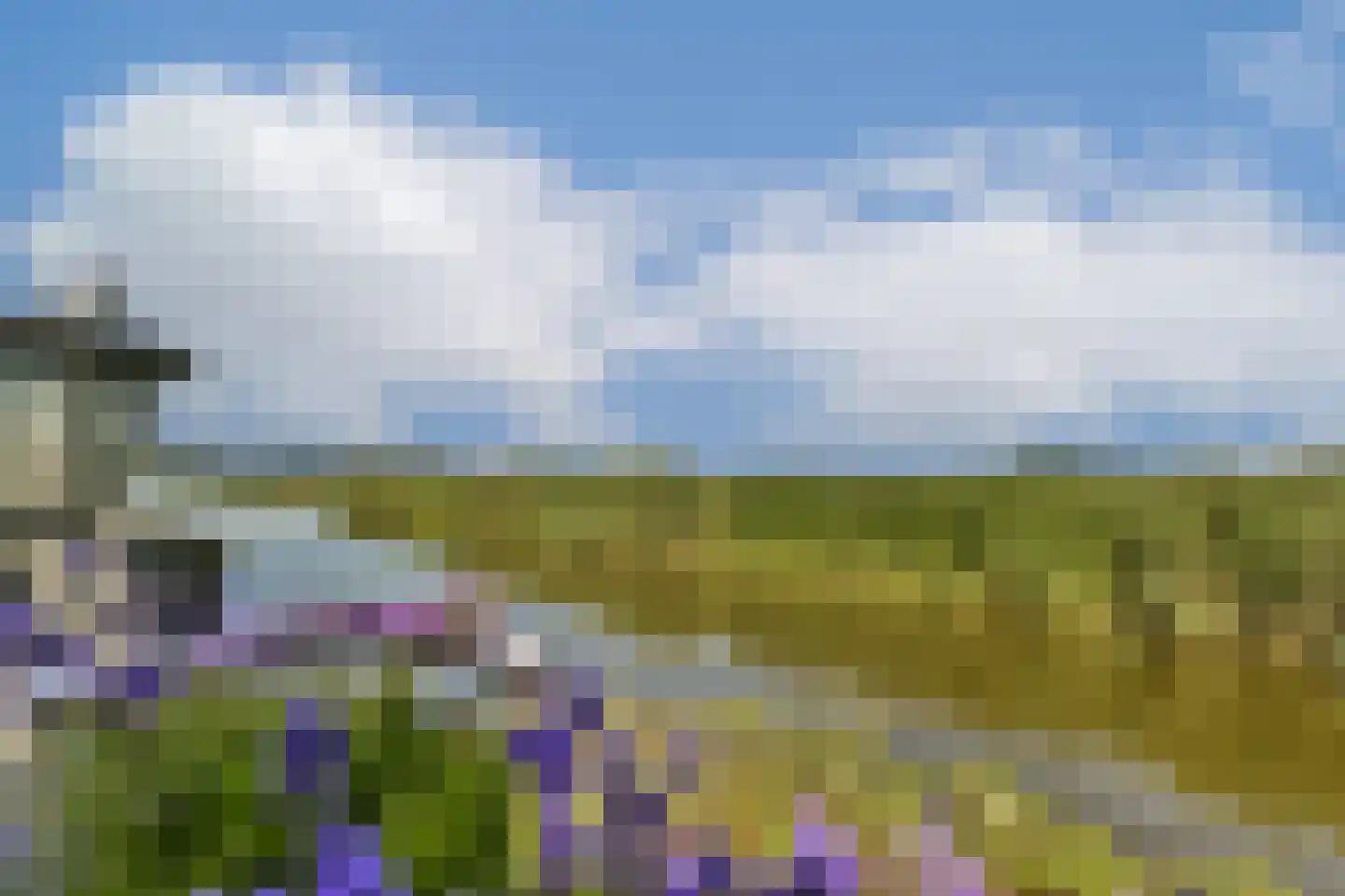 Westerstijfselmakerspad 20 b Oostzaan thumbnail 42