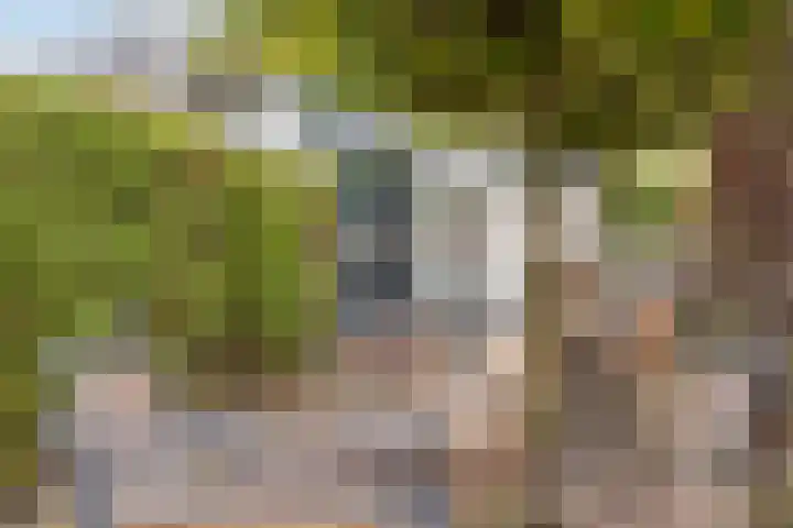 Westerstraat 11 D Baarn thumbnail 24