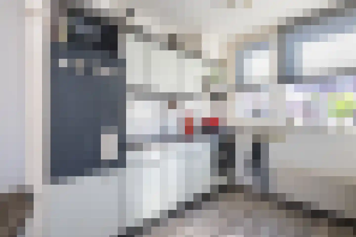 Westerstraat 11 Nieuwe-Tonge thumbnail 10