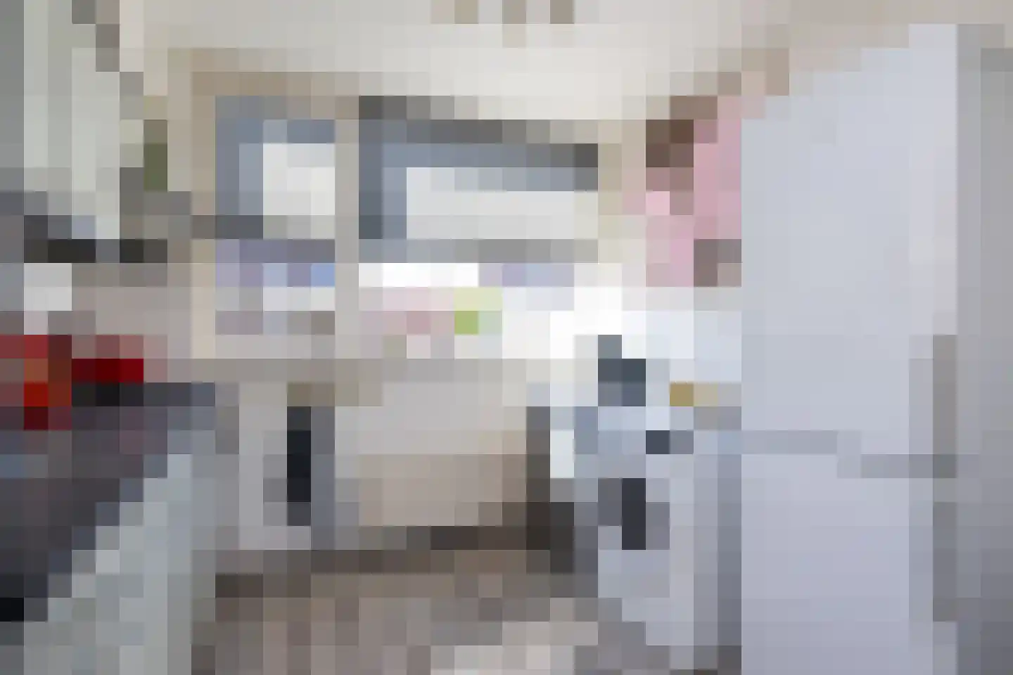 Westerstraat 11 Nieuwe-Tonge thumbnail 11
