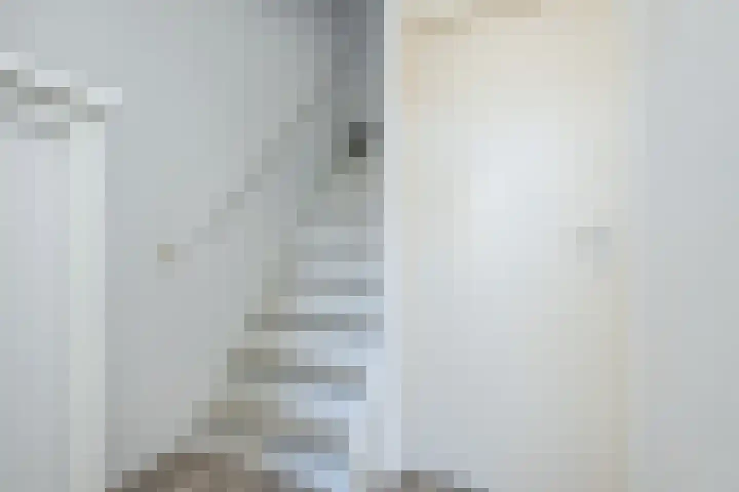 Westerstraat 11 Nieuwe-Tonge thumbnail 15