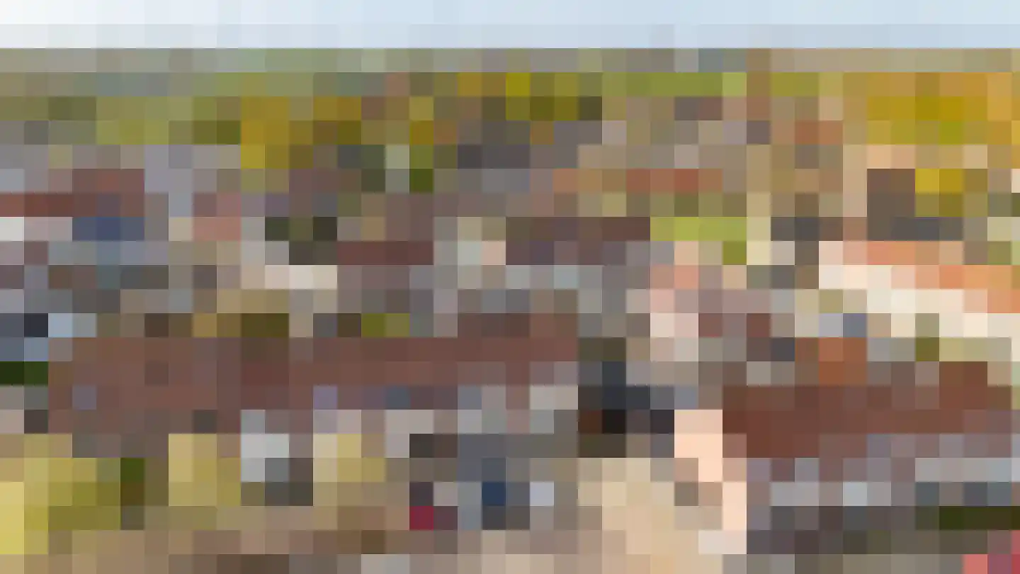 Westerstraat 11 Nieuwe-Tonge thumbnail 28