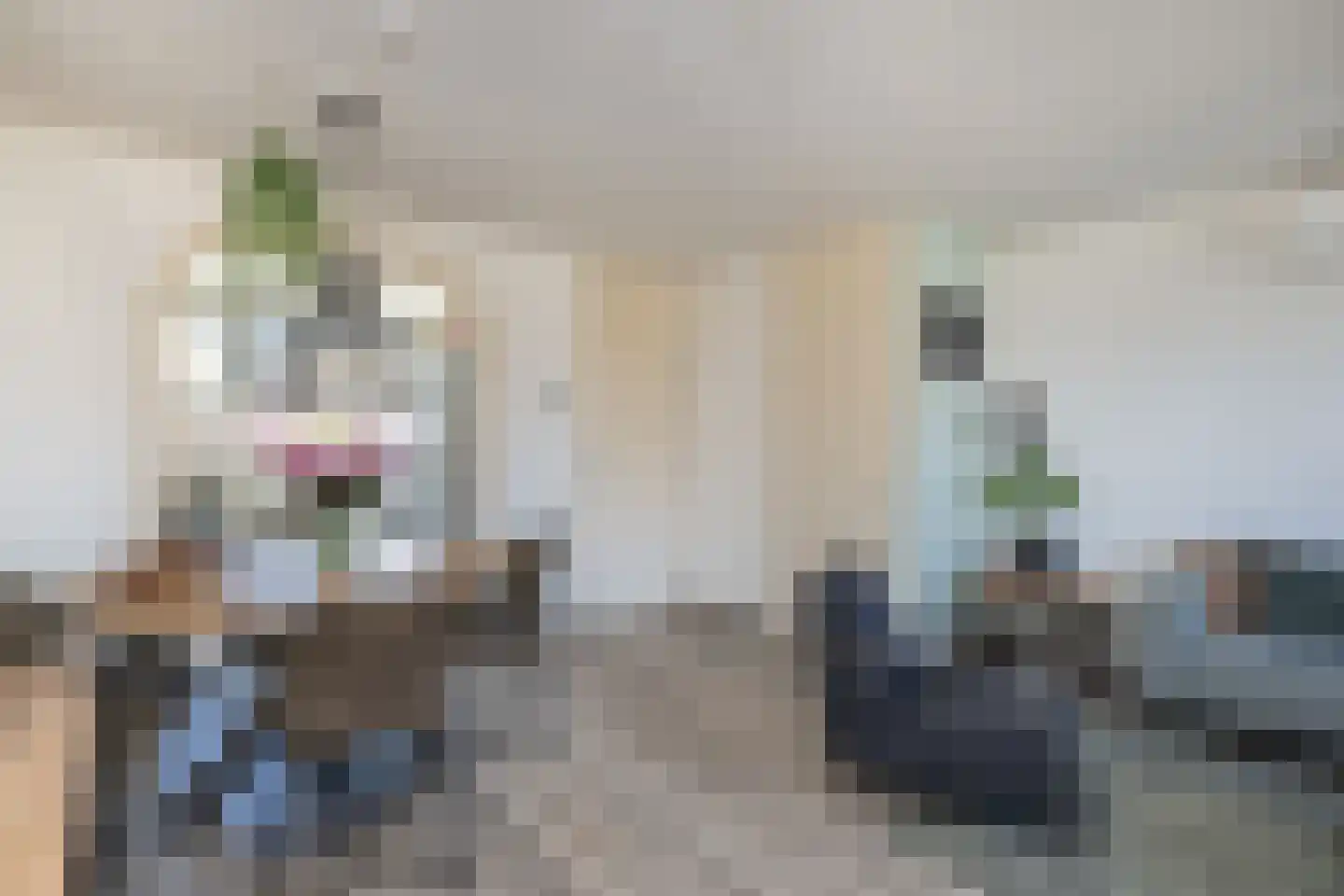 Westerstraat 11 Nieuwe-Tonge thumbnail 5