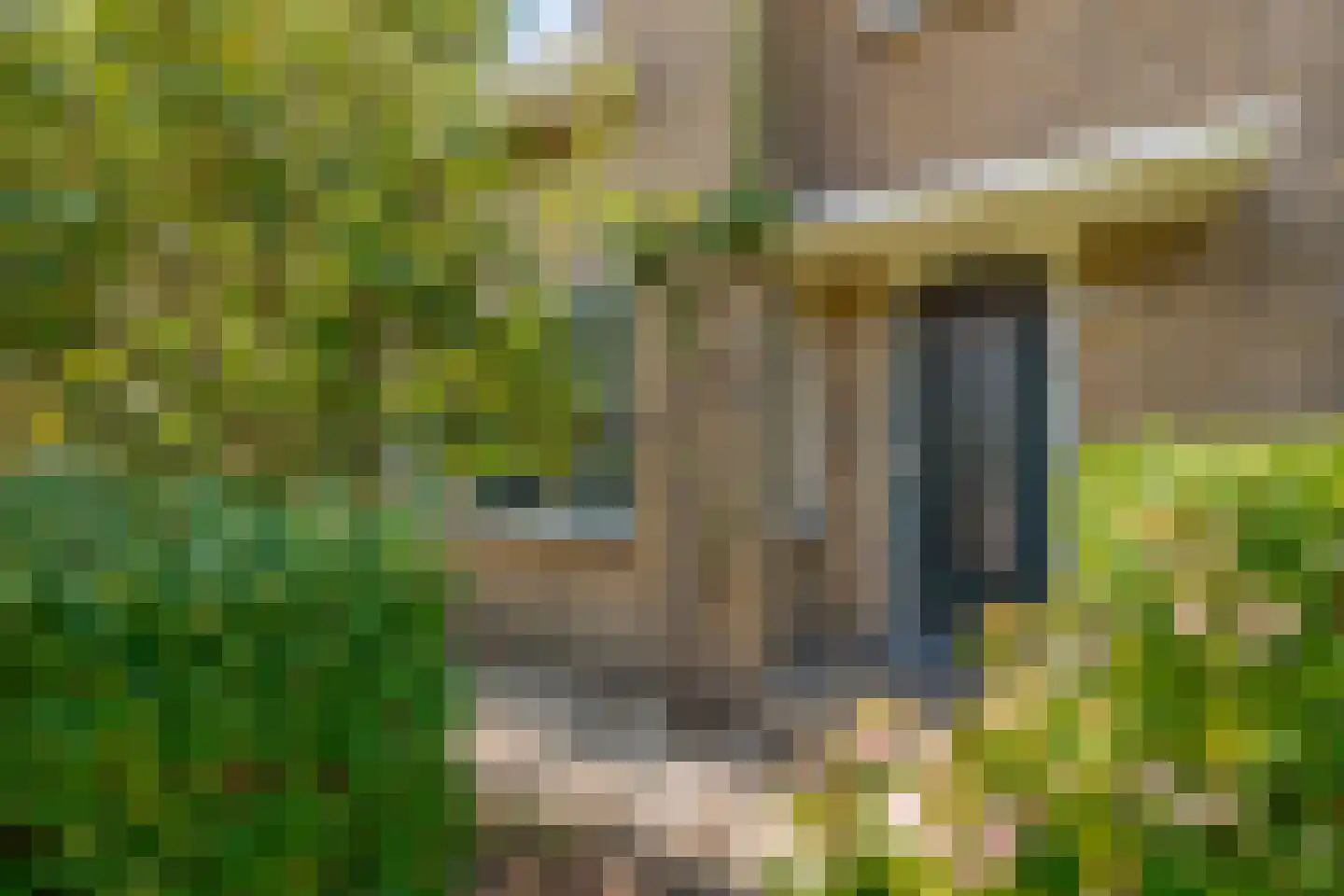 Westerstraat 11 Zwolle thumbnail 6