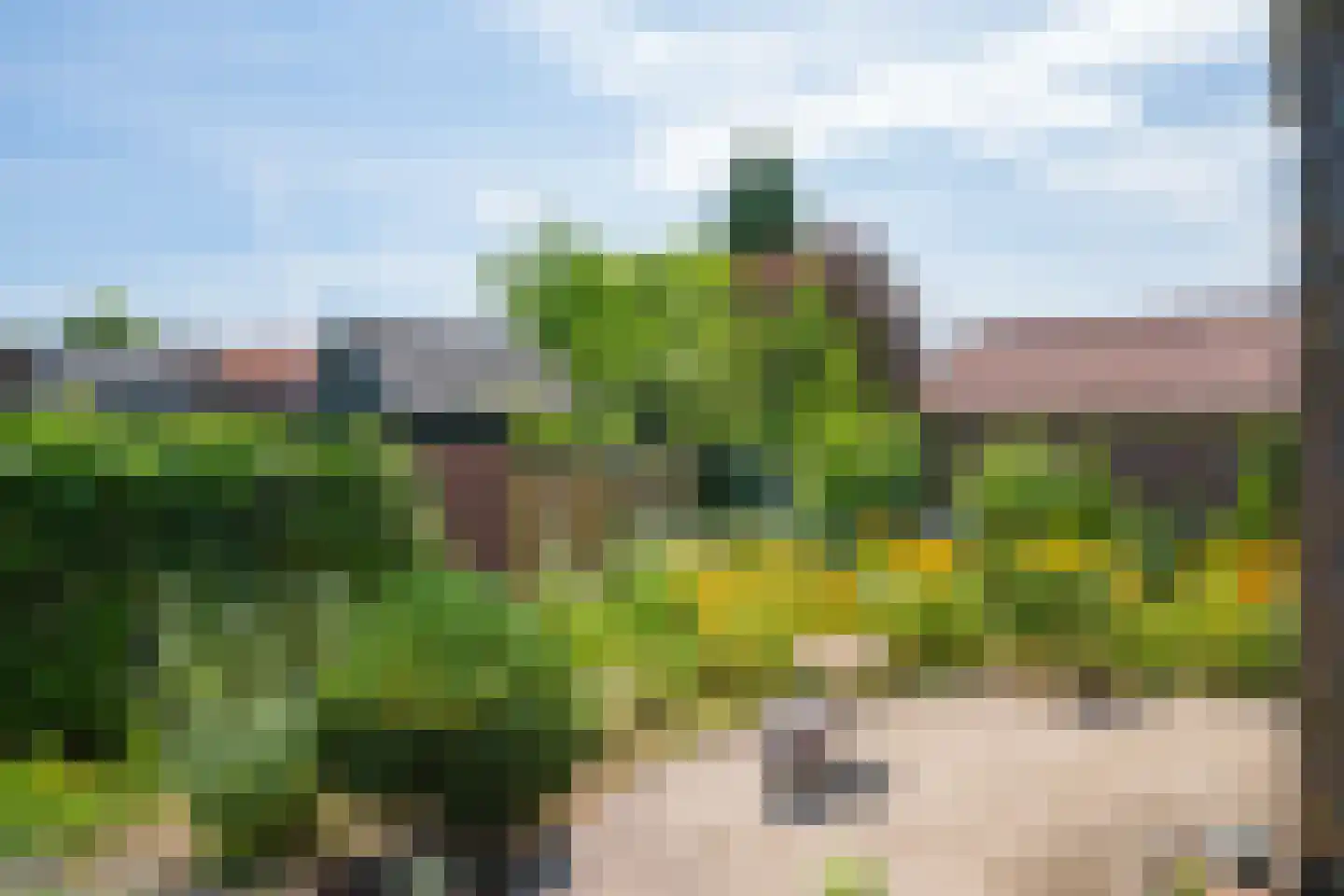 Westerstraat 112 Hengelo (Gld) thumbnail 36