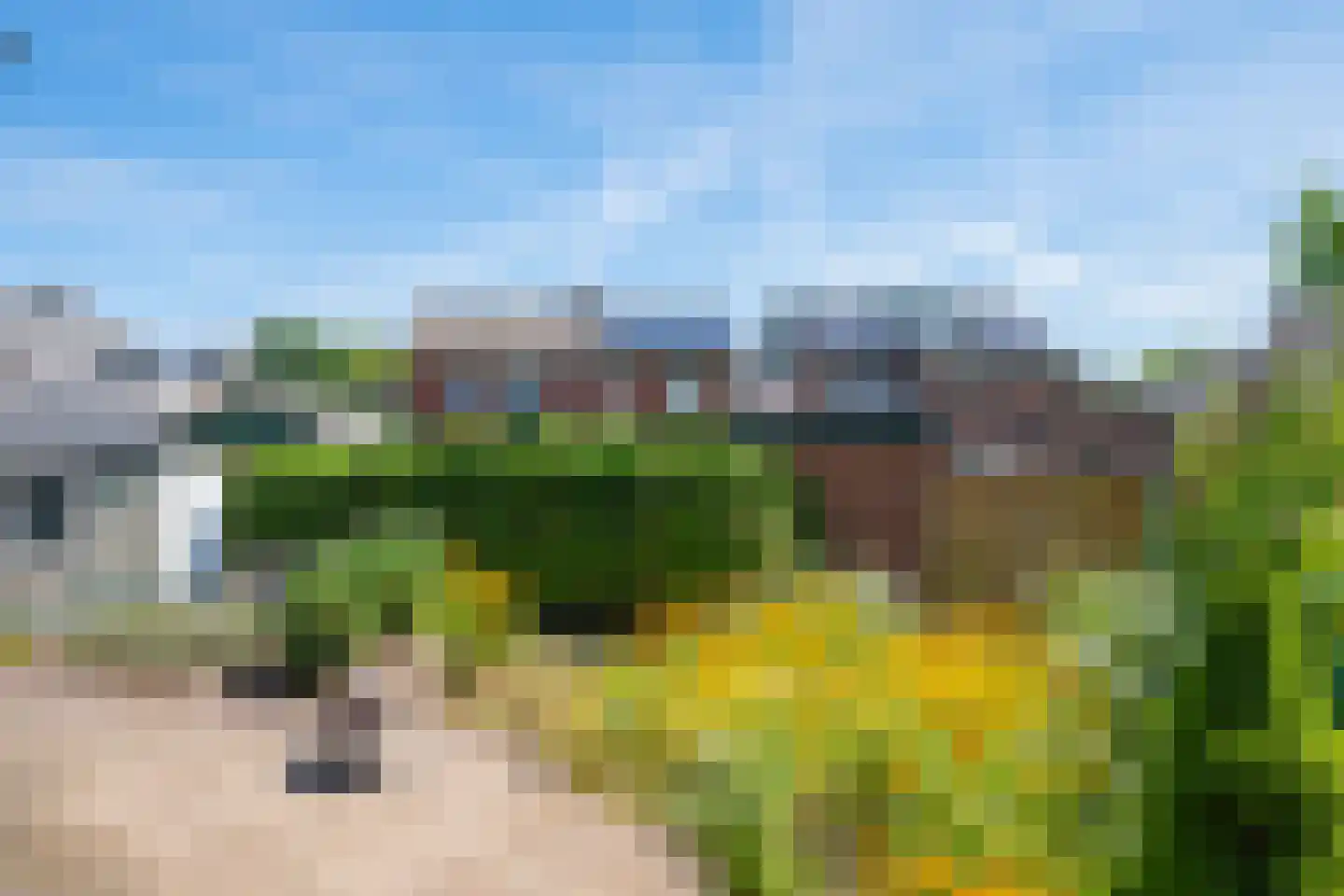 Westerstraat 112 Hengelo (Gld) thumbnail 42