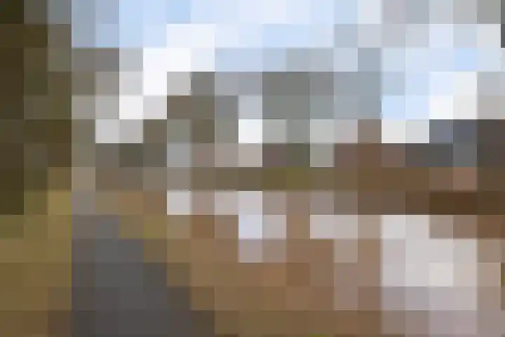 Westerstraat 113 Ter Apel thumbnail 4