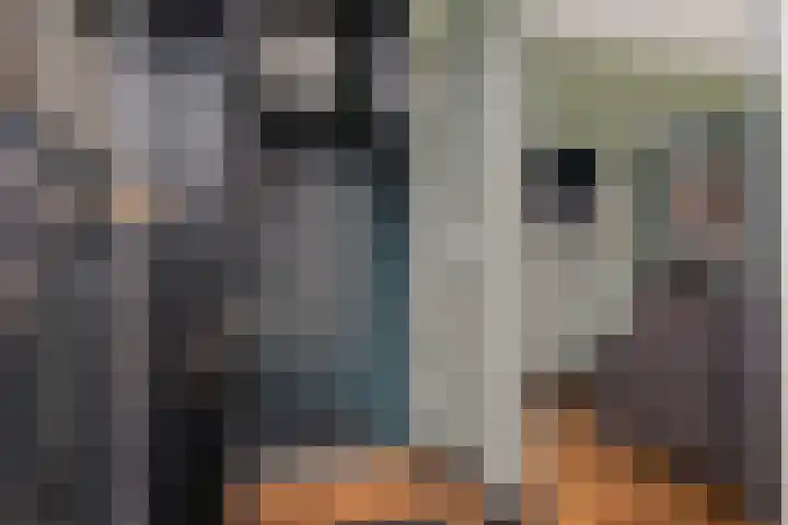 Westerstraat 113 Ter Apel thumbnail 8