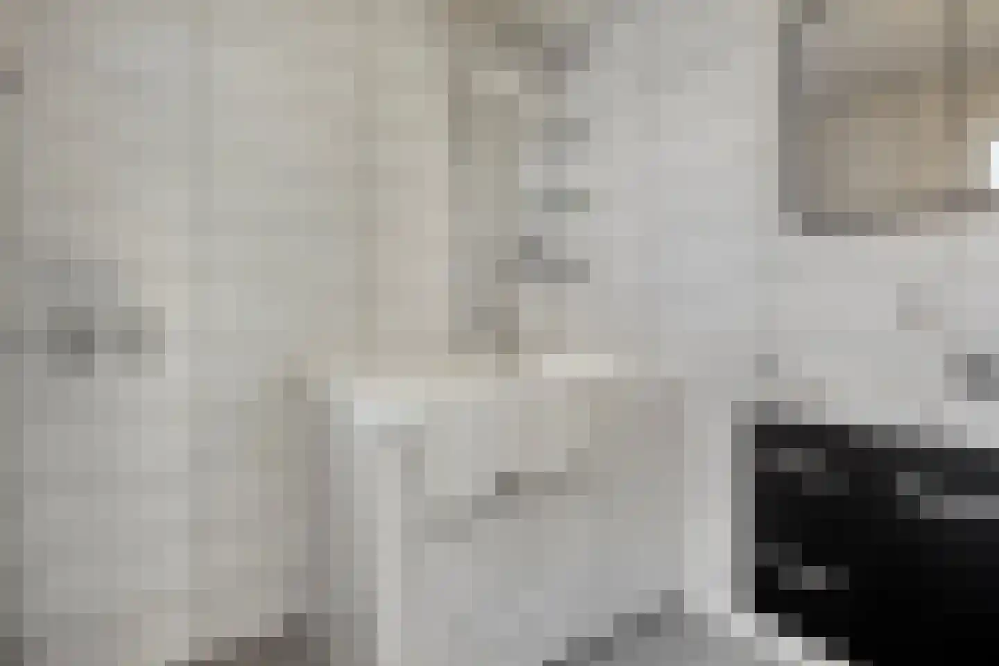 Westerstraat 12 Dinteloord thumbnail 19