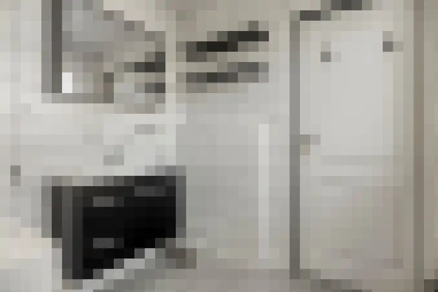Westerstraat 12 Dinteloord thumbnail 20