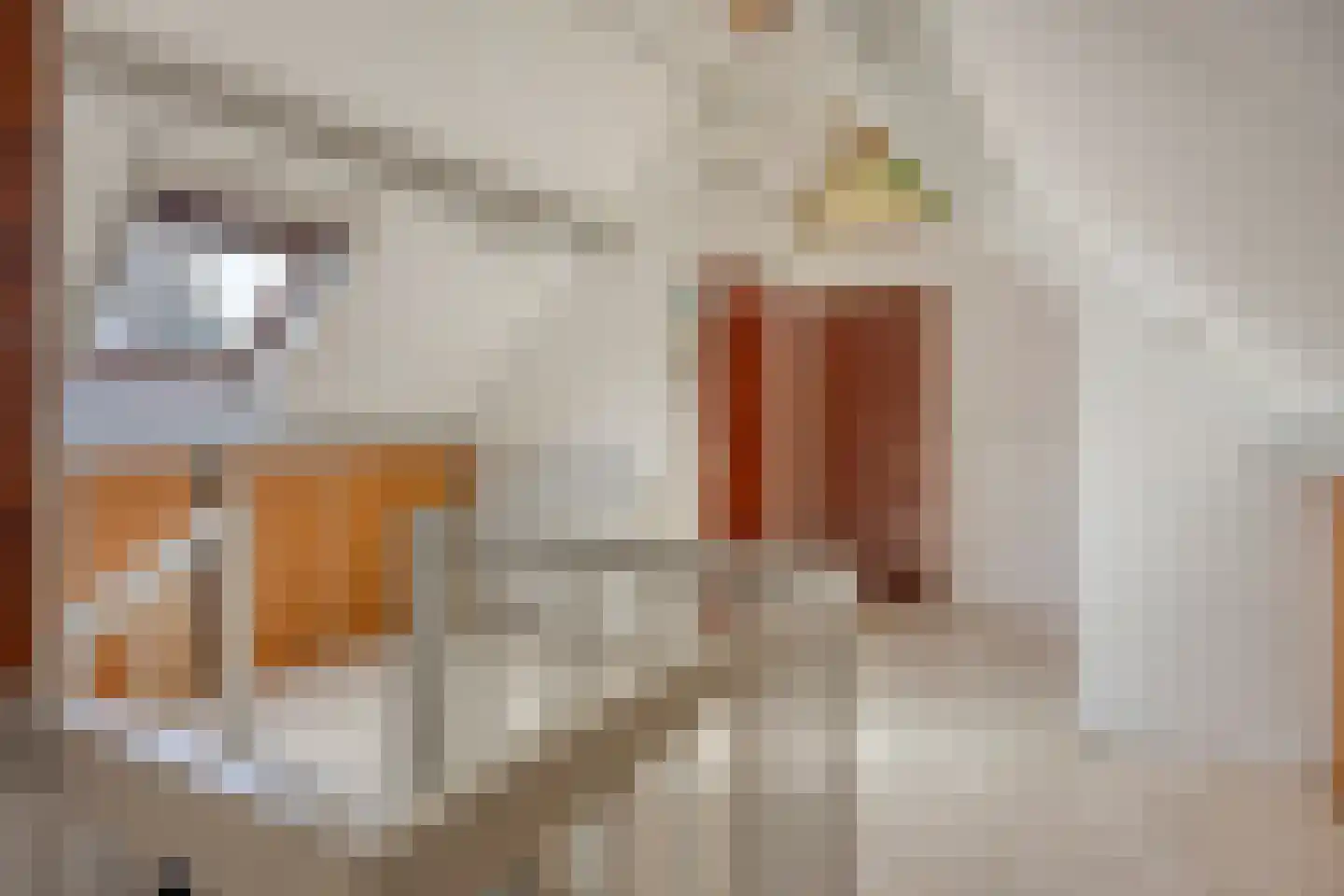 Westerstraat 12 Dinteloord thumbnail 22